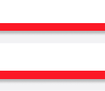 professional service